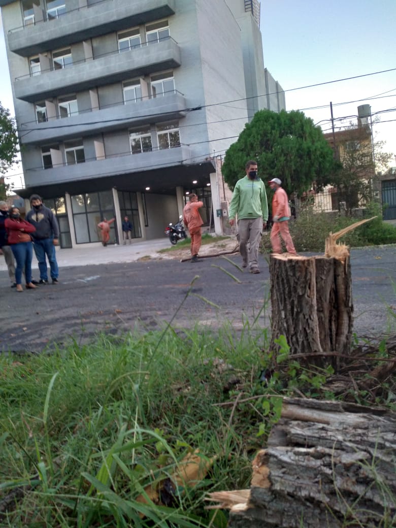 Hubo tala de árboles en calle Racedo y se quebró el acuerdo – ERA Verde