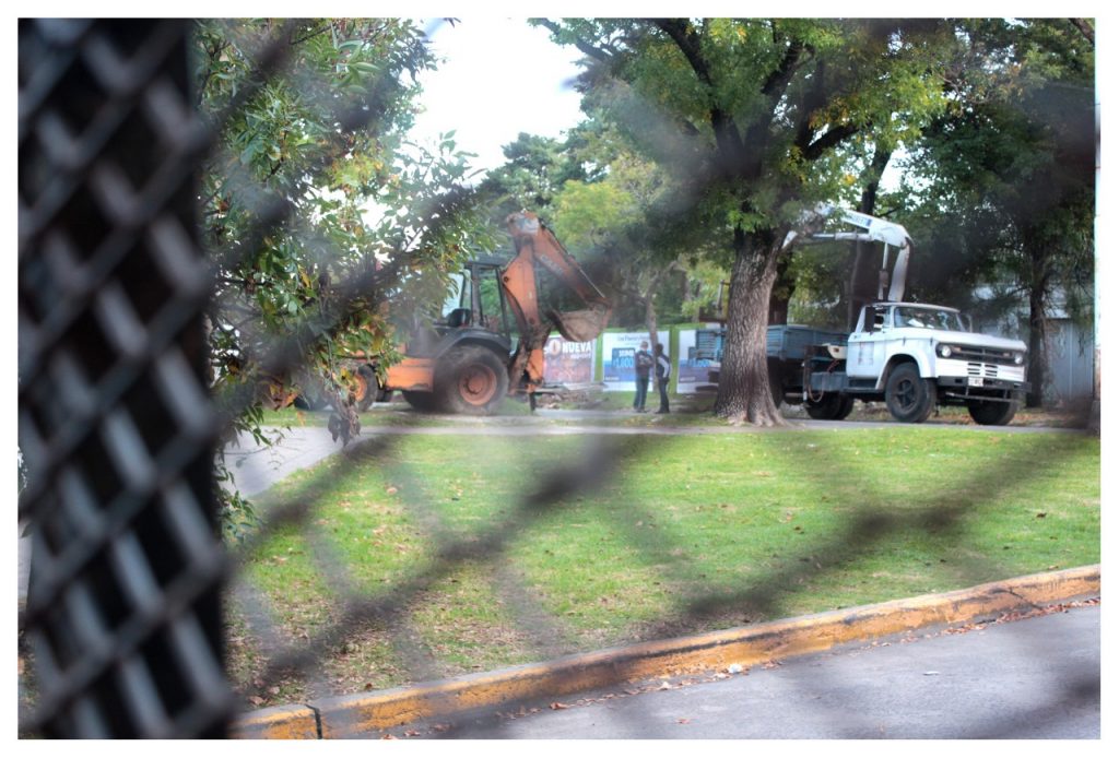 Por la tala de árboles prohibieron el paso en calle Racedo – ERA Verde