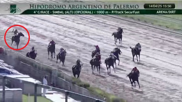 Denuncian tortura y posible dopaje a un caballo en el Hipódromo de Palermo
