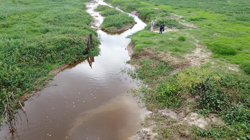 El juez Federal de Victoria procesó a encargados de una ganadera por afectar humedales en el Delta El juez Federal de Victoria procesó a encargados de una ganadera por afectar humedales en el Delta